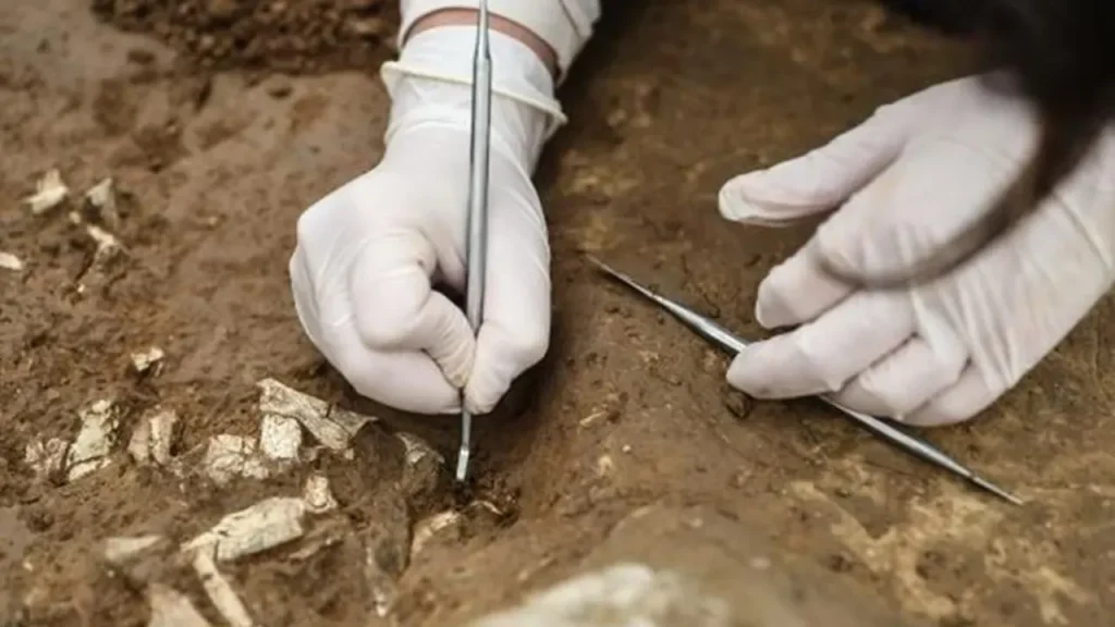 Dünya Haberleri Sağlık, Bilim ve Keşifler: Güncel Gelişmeler