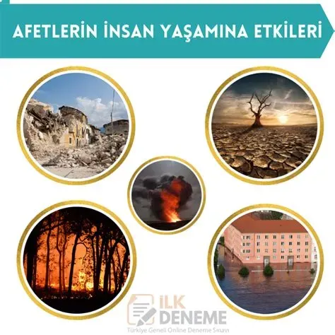 Doğal afetler ve müdahale stratejileri: Güncel analiz