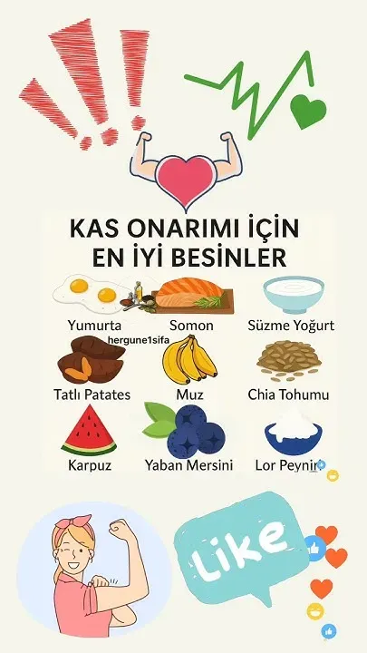 kas onarımı için en iyi uygulamalar – Kısa Rehber
