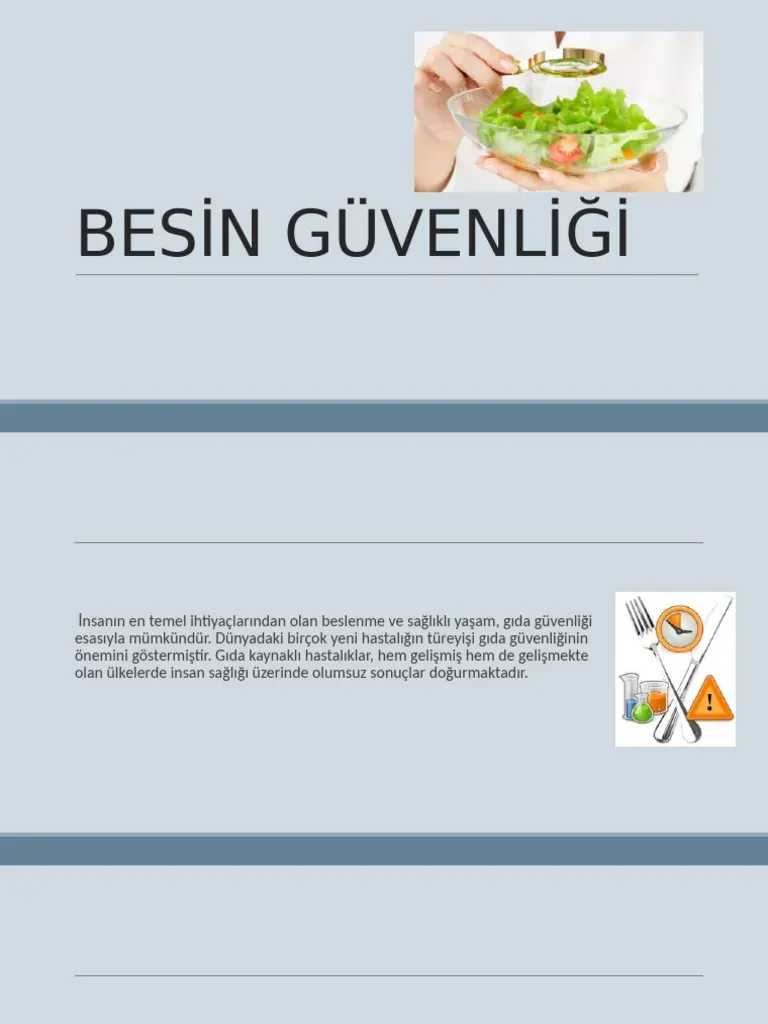 Besin Güvenliği: Raporlama ve Analitik Toplu Yemek Yazılımı